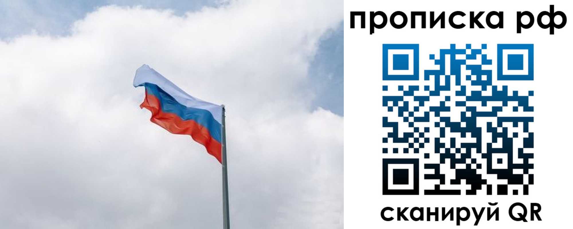 прописка гарантия в Ельне